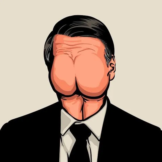Meme de humor político sobre Bolsonaro
